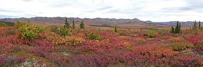 Arctic Circle