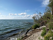 Cardinal Lake