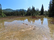 Liard River Hot Springs