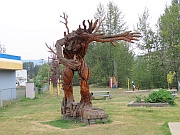 Chetwynd – Tree Beard