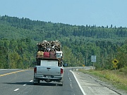 Bighorn Highway