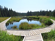 Hinton –The Beaver Boardwalk